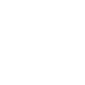 Sun With Sunglasses Icon