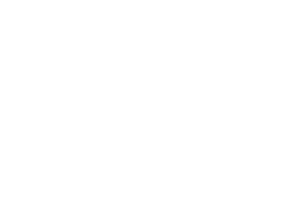 Piggy Bank Icon